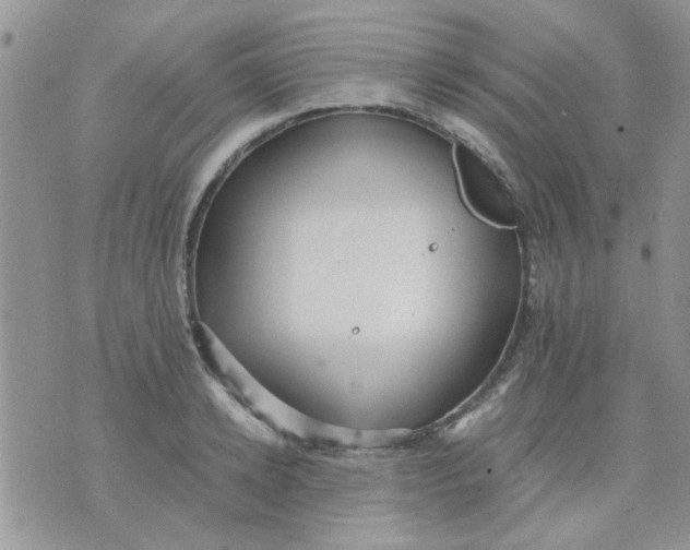 X0000071860942200607211914