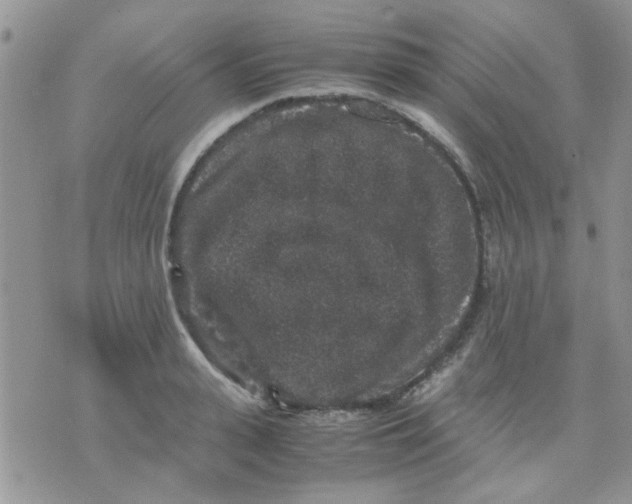 X0000071860943200607211914