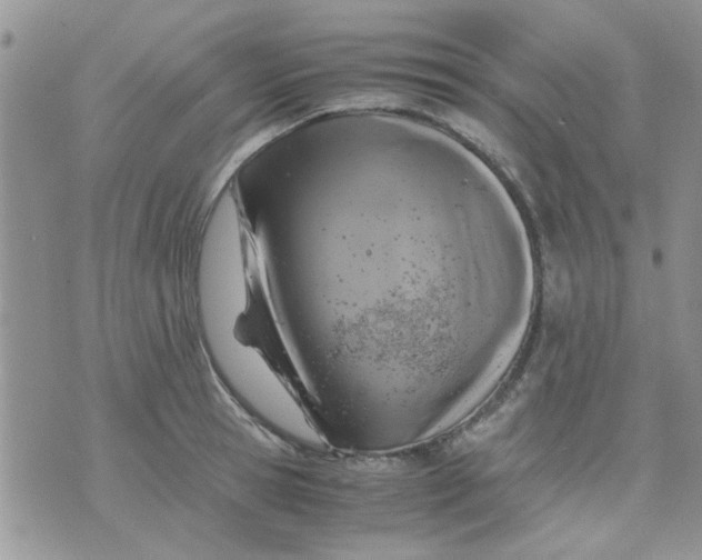 X0000071860945200607211914