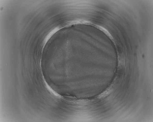 X0000071860946200607211914