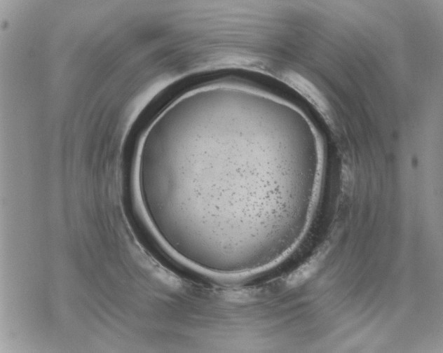 X0000071860948200607211914