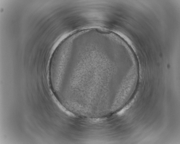 X0000071860949200607211914