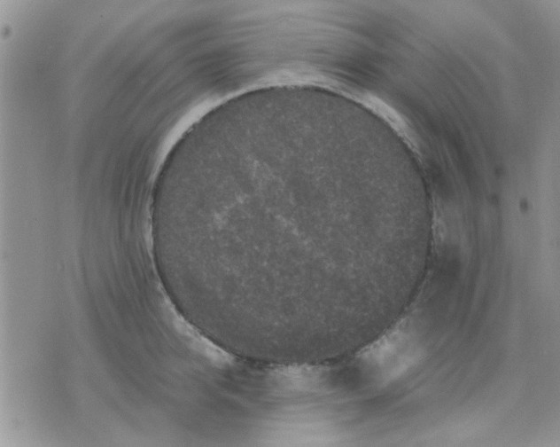 X0000071860950200607211914