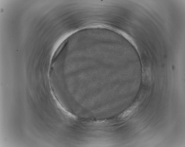 X0000071860951200607211914