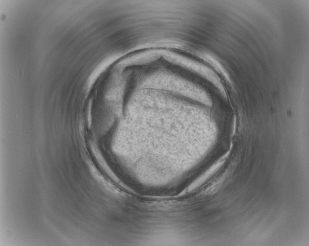 X0000071860952200607211914