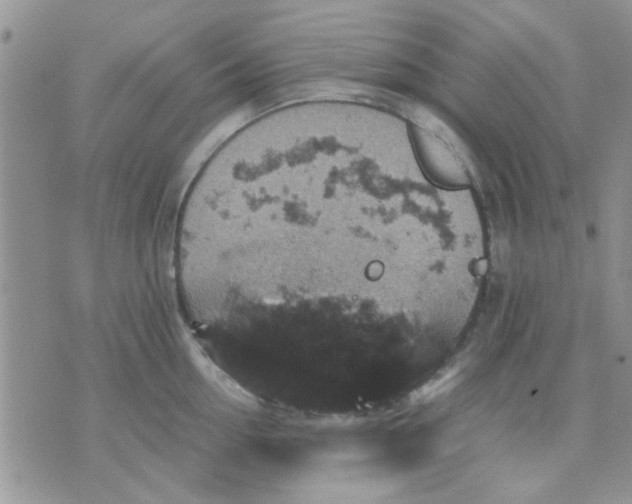 X0000071860954200607211914