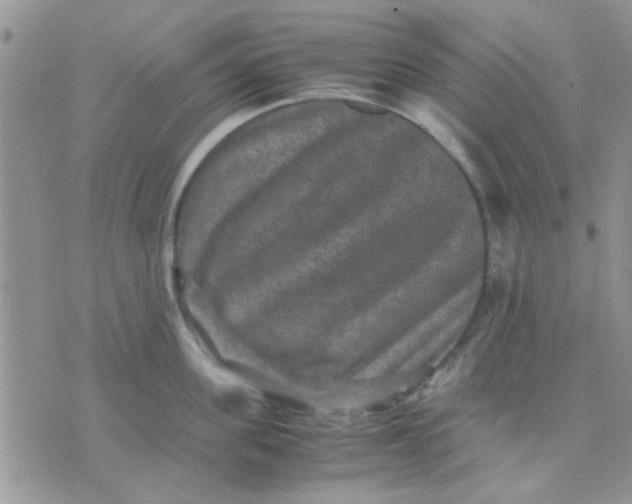 X0000071860955200607211914