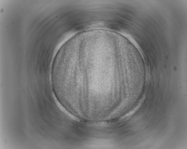 X0000071860957200607211914