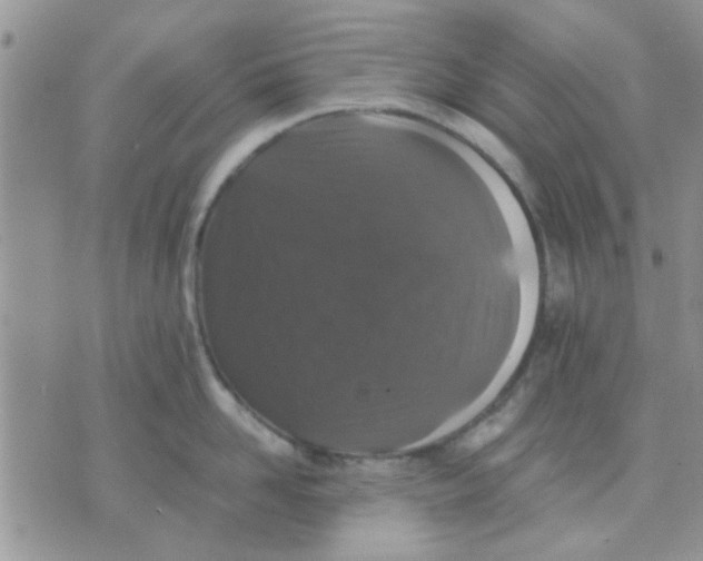 X0000071860958200607211914