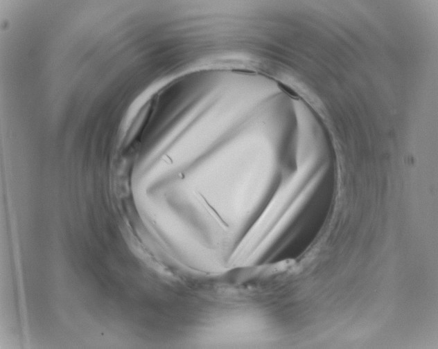 X0000071860960200607211914