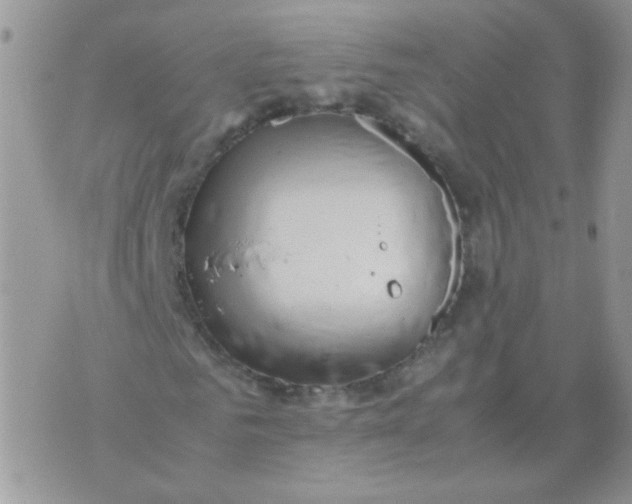 X0000071860961200607211913