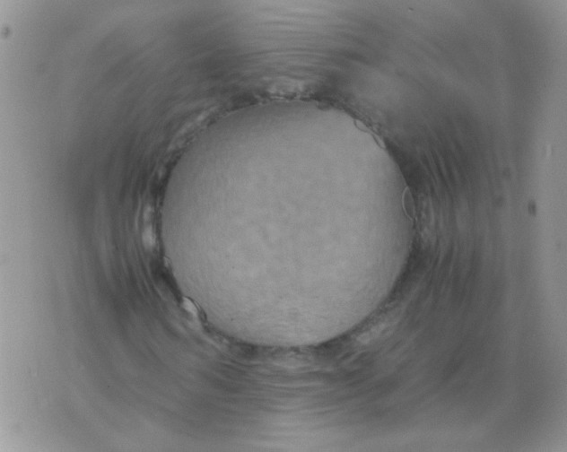 X0000071860962200607211913