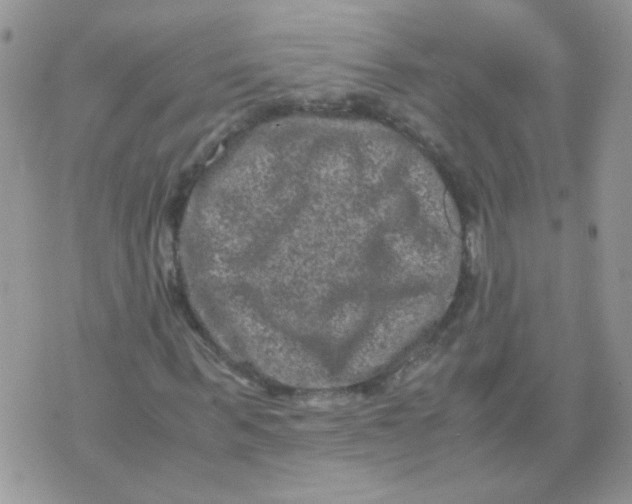 X0000071860963200607211913