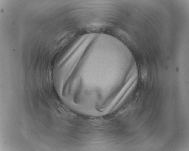 X0000071860964200607211913