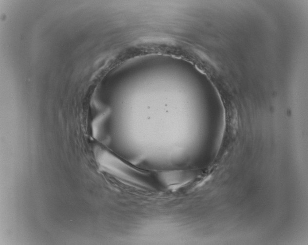 X0000071860965200607211913