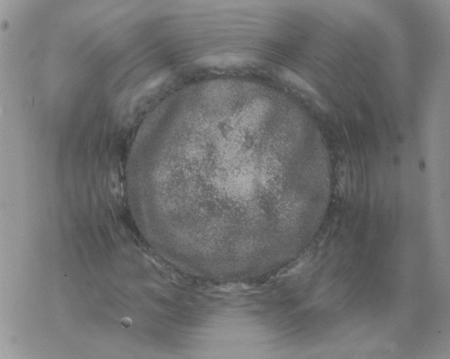 X0000071860966200607211913