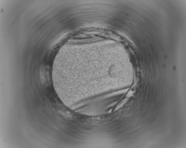 X0000071860968200607211913