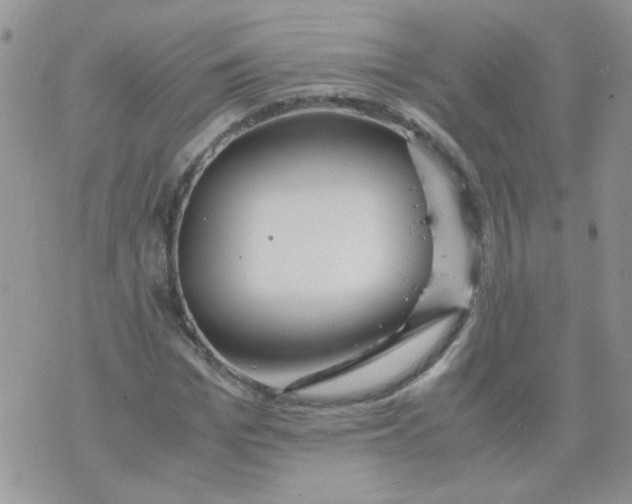 X0000071860969200607211913