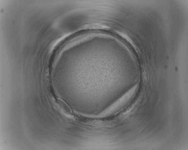 X0000071860971200607211913