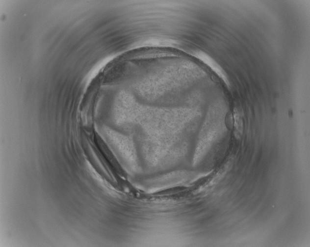 X0000071860972200607211913