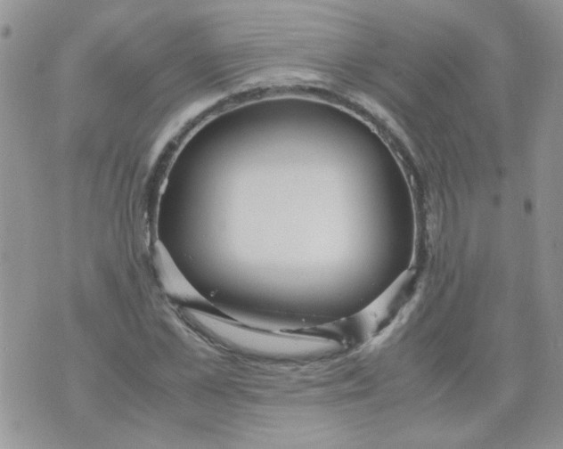 X0000071860973200607211913