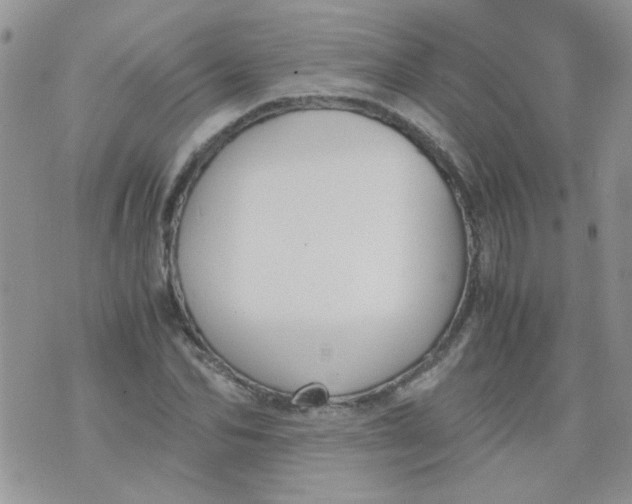 X0000071860974200607211913