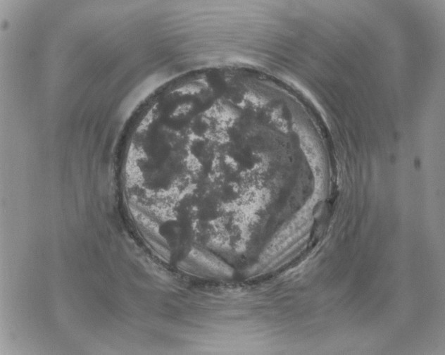 X0000071860975200607211913