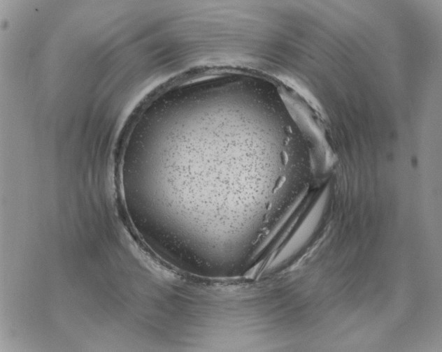 X0000071860976200607211913