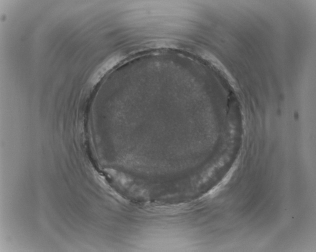 X0000071860977200607211913