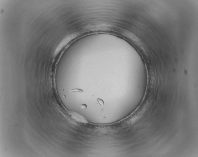 X0000071860978200607211913