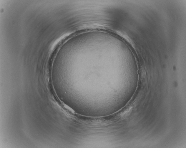 X0000071860979200607211913