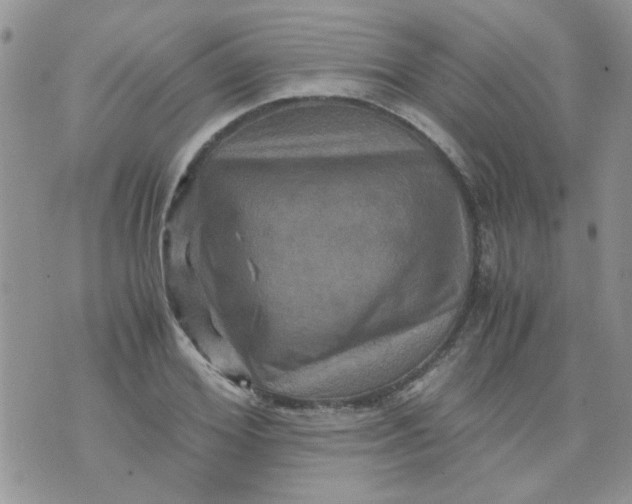 X0000071860980200607211913