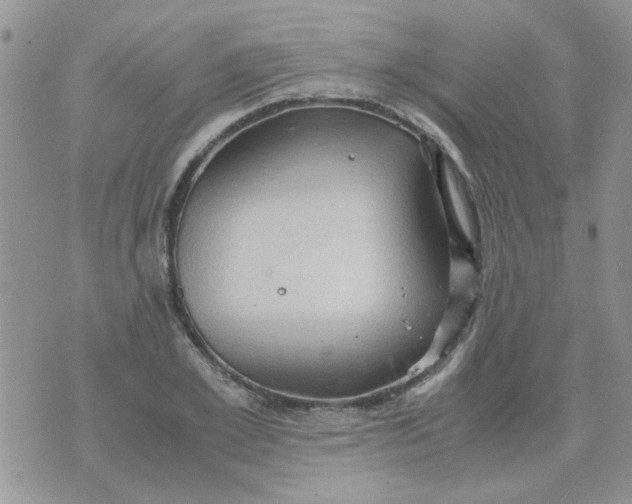 X0000071860981200607211913