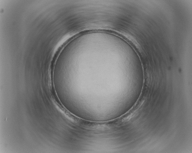 X0000071860982200607211913