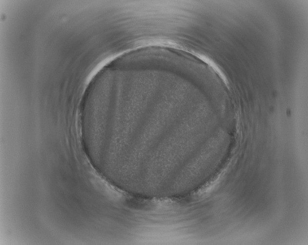 X0000071860983200607211913