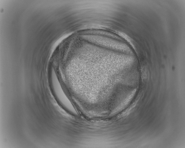 X0000071860987200607211913