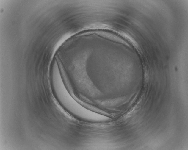 X0000071860990200607211913