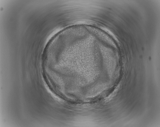 X0000071860991200607211913