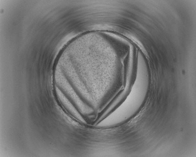 X0000071860992200607211913