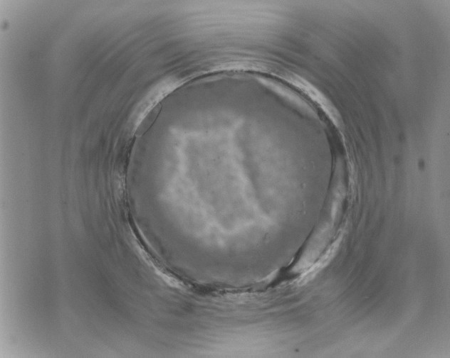 X0000071860993200607211913