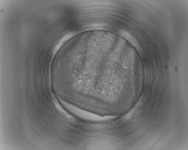 X0000071860994200607211913