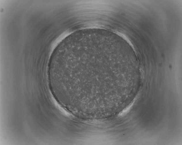 X0000071860995200607211913