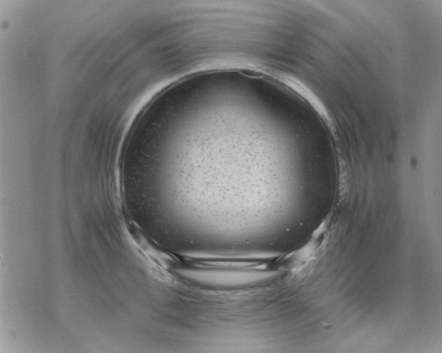 X0000071860996200607211913