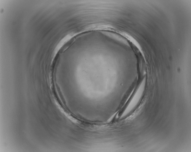 X0000071860997200607211913