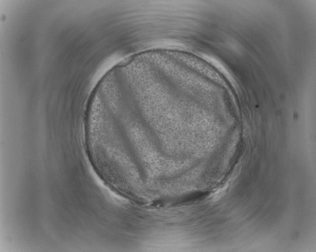 X0000071860999200607211913