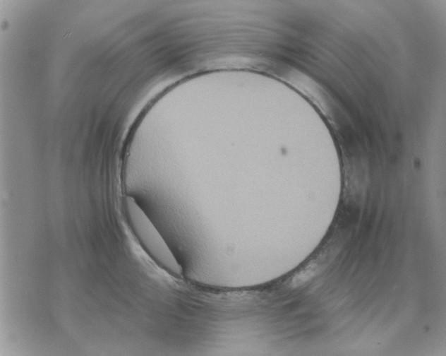 X0000071861000200607211912