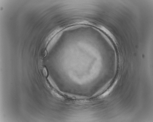 X0000071861001200607211912