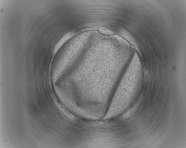 X0000071861002200607211912