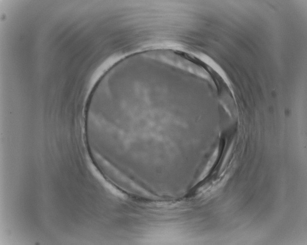 X0000071861005200607211912