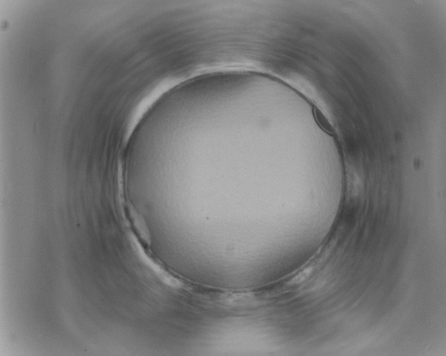 X0000071861006200607211912